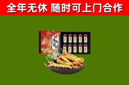 伊春回收冬虫夏草价格